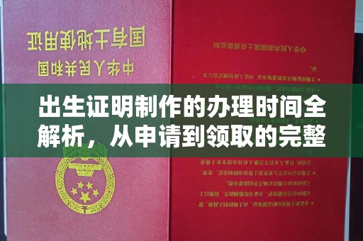 曲水出生证明制作的办理时间全解析，从申请到领取的完整指南